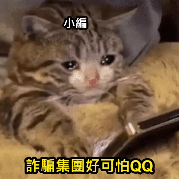 詐騙集團好可怕QQ