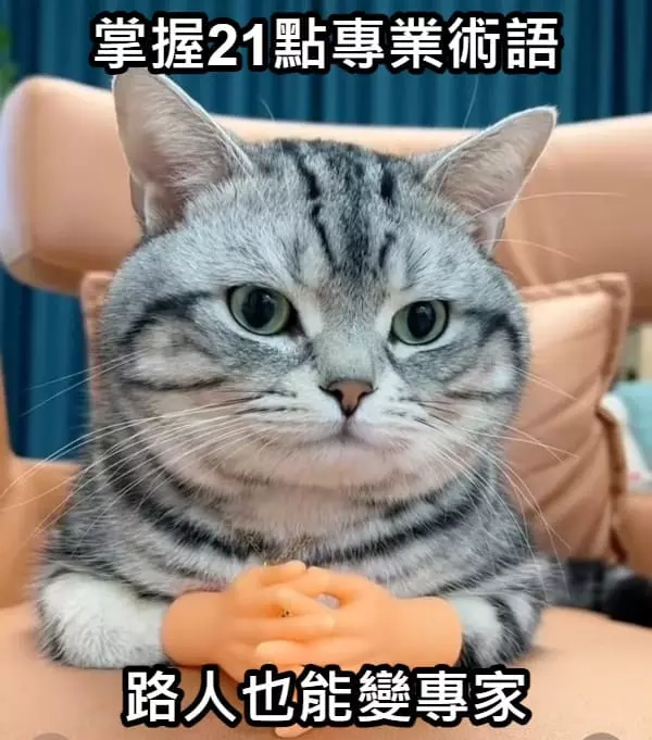 掌握21點專業術語，路人也能變專家