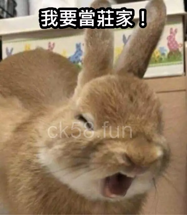 資深玩家都懂得要搶得當莊家