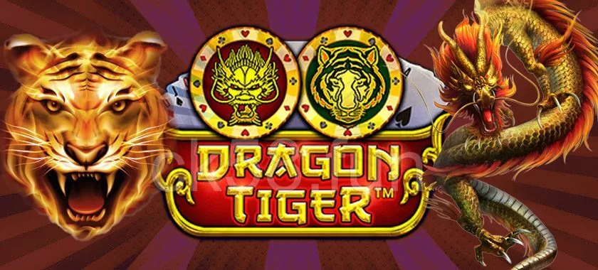 龍虎鬥遊戲全攻略，最詳細玩法機率介紹都在這！