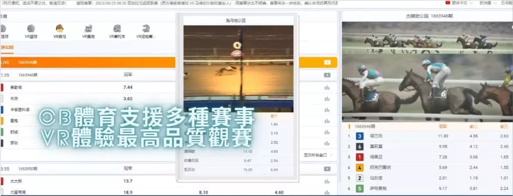 OB體育｜VR賽事