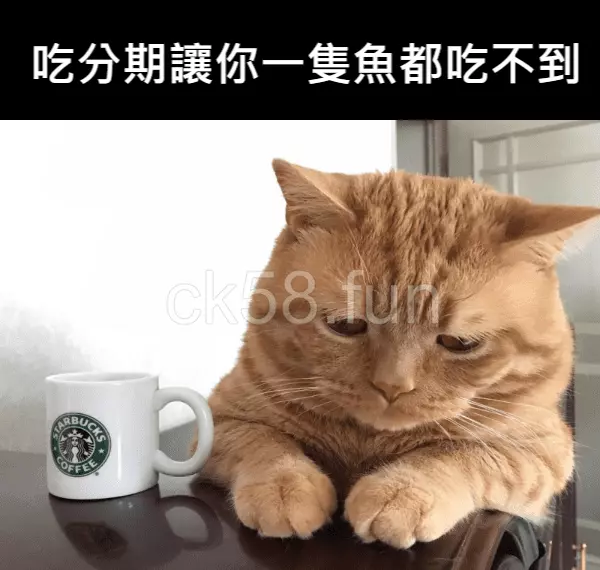 吃分期讓你一隻魚都吃不到，可要小心避開！