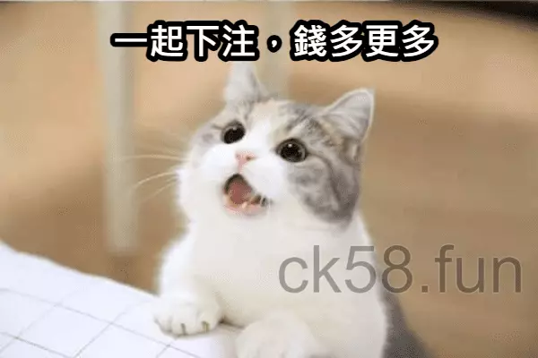 相符下注教你什麼是錢滾錢，越滾越多