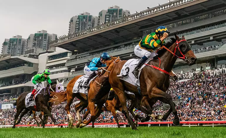 香港賽馬 比賽實況照片