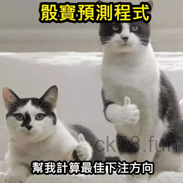 骰寶預測程式幫你計算出最佳的下注方向